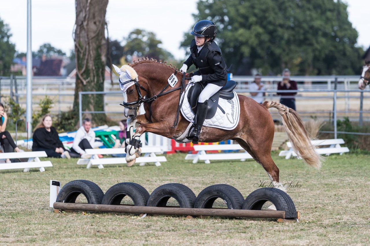 Bild 126 - Pony Akademie Turnier